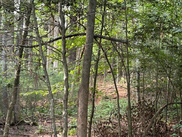 L 10&16 Josie Drive, Blairsville, GA 30512