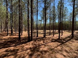 0 Worley Road Lot 40, Soddy Daisy, TN 37379
