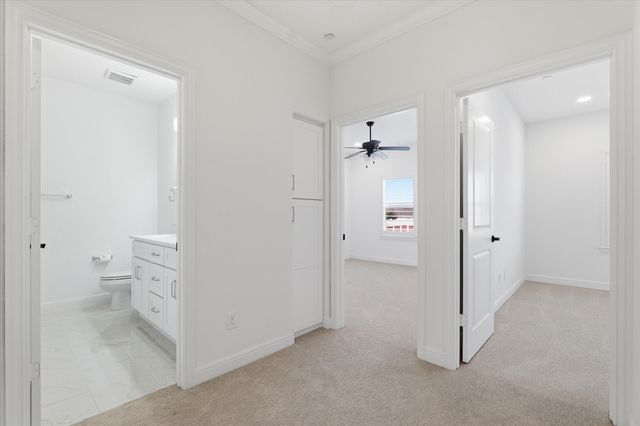 3109 Raphael Court, Mckinney, TX 75070