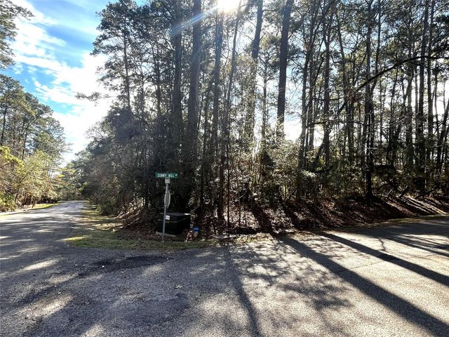 179 Green Tree Drive, Coldspring, TX 77331