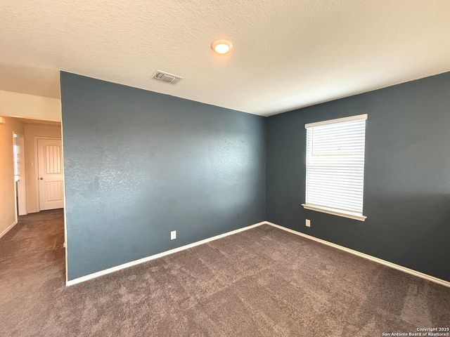 14721 Hooded Merganser, San Antonio, TX 78253