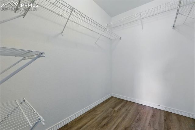 6184 Wood Bison Trail, Colorado Springs, CO 80925