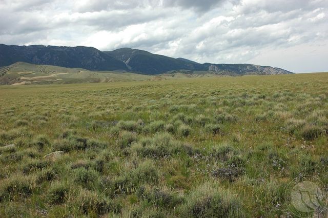 22 Broken TRAIL N, Belfry, MT 59008