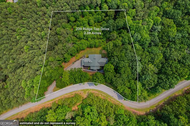 239 Ridge Top Drive, Ellijay, GA 30536