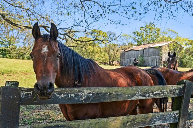 6646 Arno College Grove Rd, College Grove, TN 37046