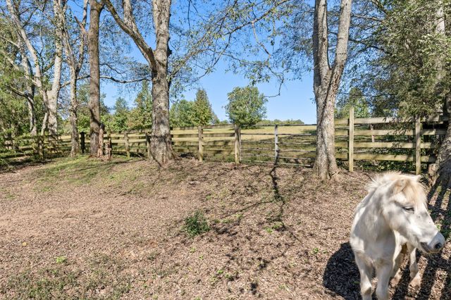 6646 Arno College Grove Rd, College Grove, TN 37046