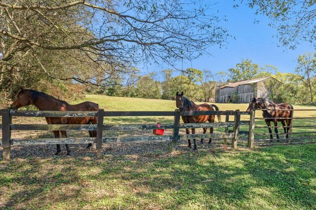 6646 Arno College Grove Rd, College Grove, TN 37046