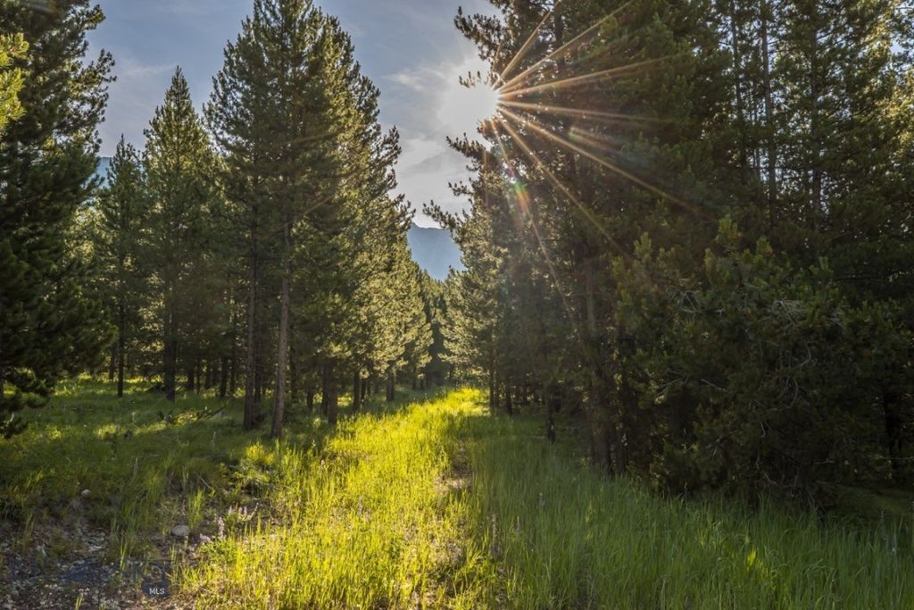 TBD Jack Creek Road, Moonlight Territory Parcel 2, Big Sky, MT 59729 photo 10