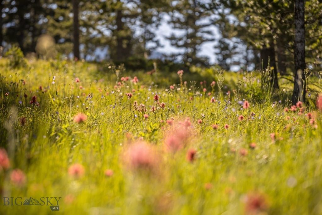 TBD Jack Creek Road, Moonlight Territory Parcel 2, Big Sky, MT 59729 photo 12