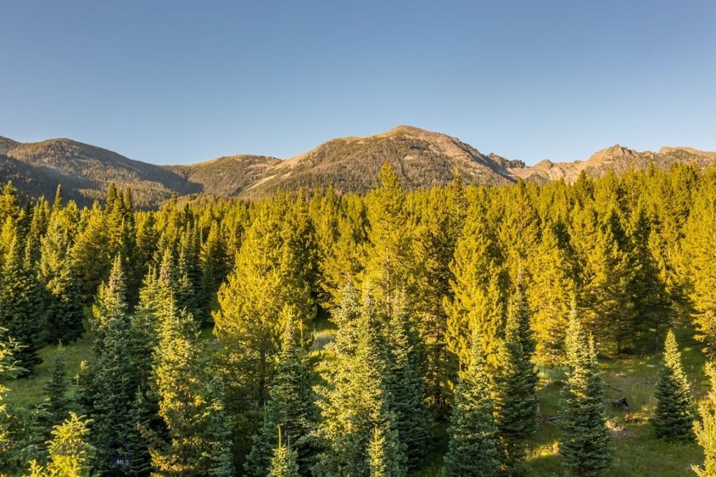 TBD Jack Creek Road, Moonlight Territory Parcel 2, Big Sky, MT 59729 photo 19