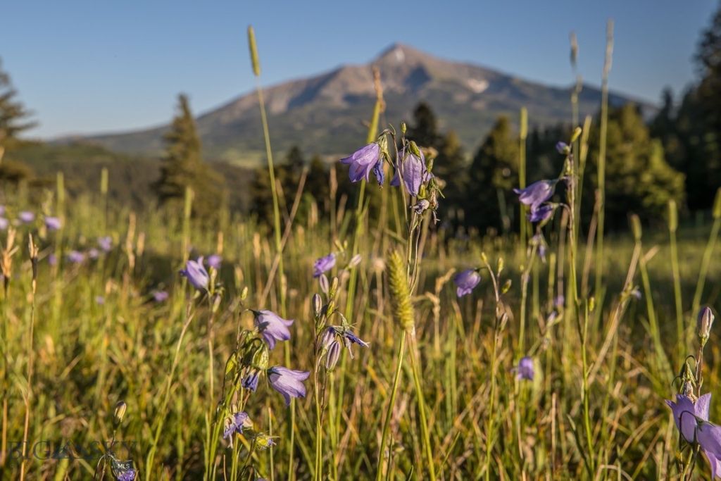 TBD Jack Creek Road, Moonlight Territory Parcel 2, Big Sky, MT 59729 photo 20