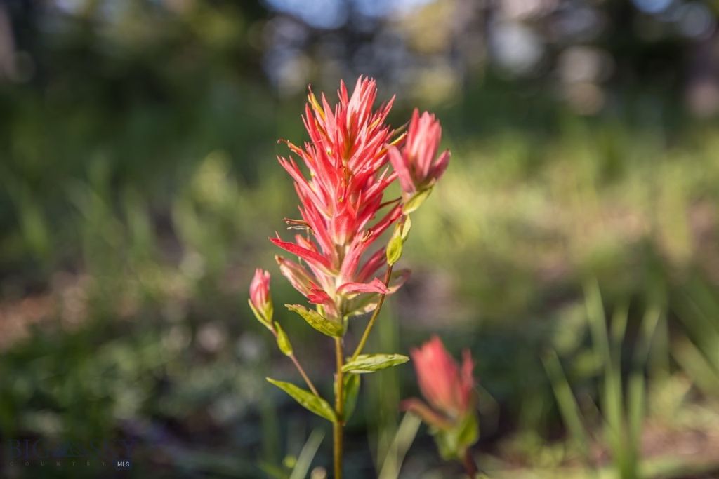 TBD Jack Creek Road, Moonlight Territory Parcel 2, Big Sky, MT 59729 photo 21