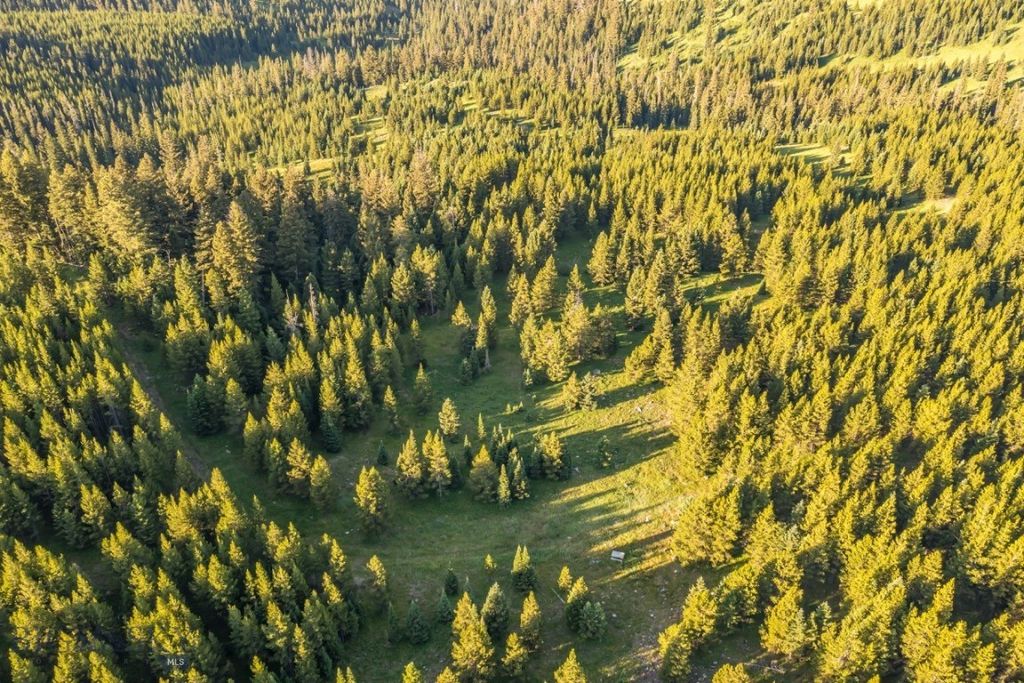 TBD Jack Creek Road, Moonlight Territory Parcel 2, Big Sky, MT 59729 photo 28