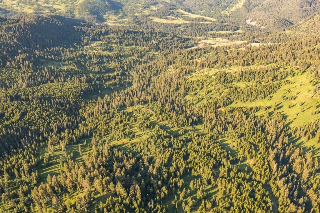 TBD Jack Creek Road, Moonlight Territory Parcel 2, Big Sky, MT 59729 photo 30