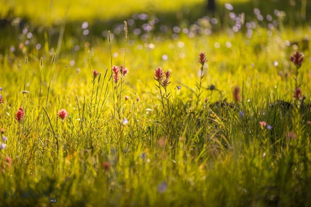 TBD Jack Creek Road, Moonlight Territory Parcel 2, Big Sky, MT 59729 photo 33