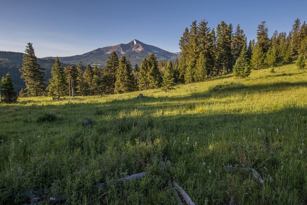TBD Jack Creek Road, Moonlight Territory Parcel 2, Big Sky, MT 59729 photo 8