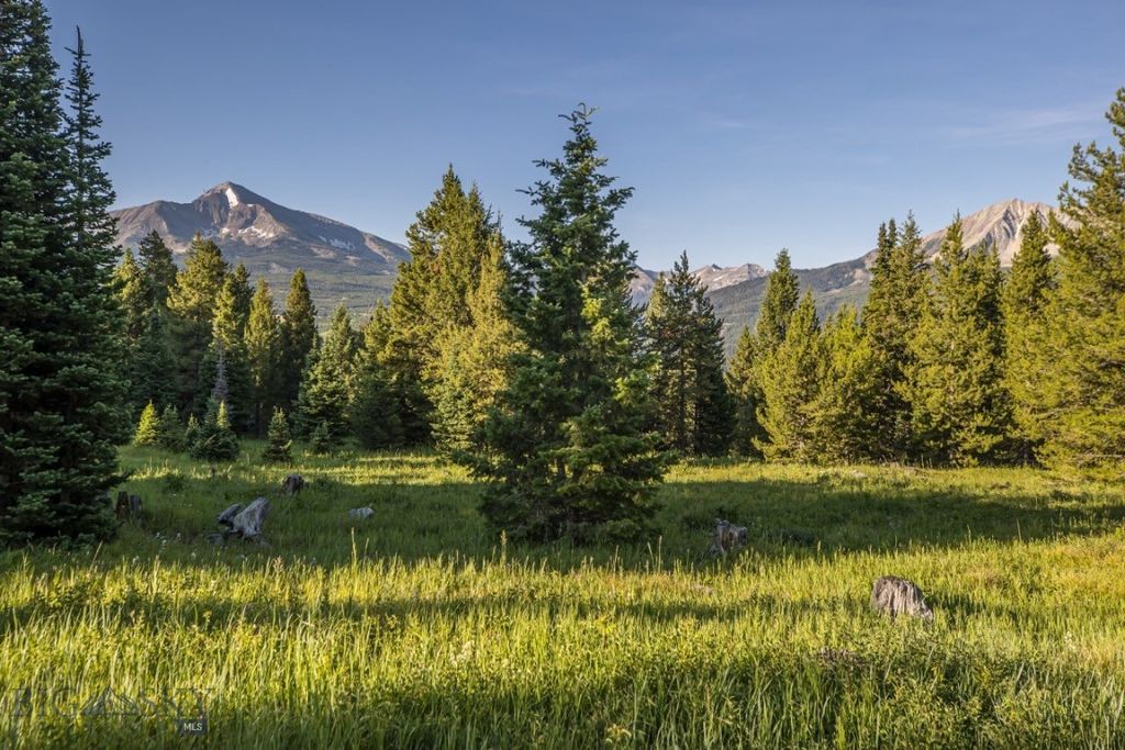 TBD Jack Creek Road, Moonlight Territory Parcel 2, Big Sky, MT 59729 photo 9