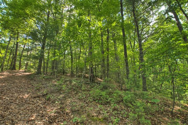 0 Menagerie Ridge, Epworth, GA 30541
