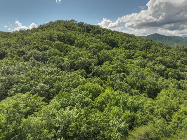 0 Menagerie Ridge, Epworth, GA 30541