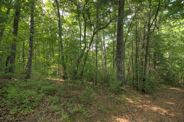 0 Menagerie Ridge, Epworth, GA 30541