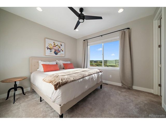 14365 Shasta Daisy Pt, Parker, CO 80134
