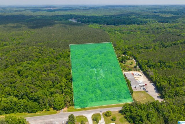 28030 HIGHWAY 31, Jemison, AL 35085