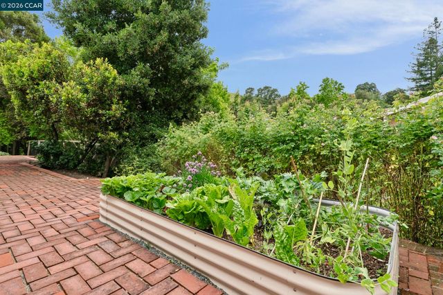 3195 Camino Colorados, Lafayette, CA 94549