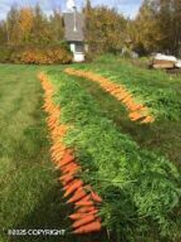 6991 E Connect Court, & 6951, Palmer, AK 99645