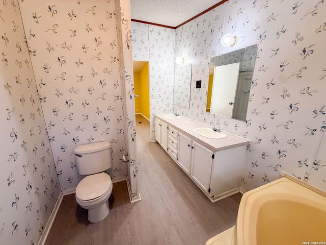 4506 Legend Falls, San Antonio, TX 78253