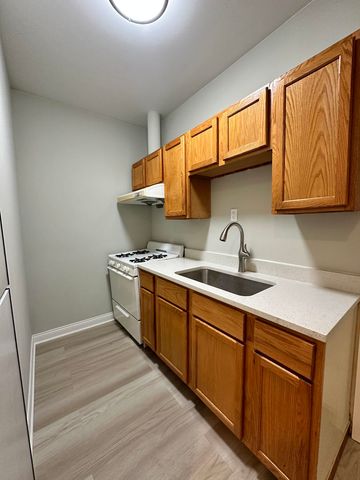 2247 S Wentworth Avenue 3E, Chicago, IL 60616