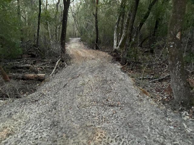 507 Stewart Drive, Defuniak Springs, FL 32433