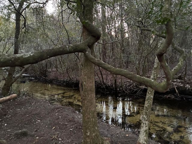 507 Stewart Drive, Defuniak Springs, FL 32433