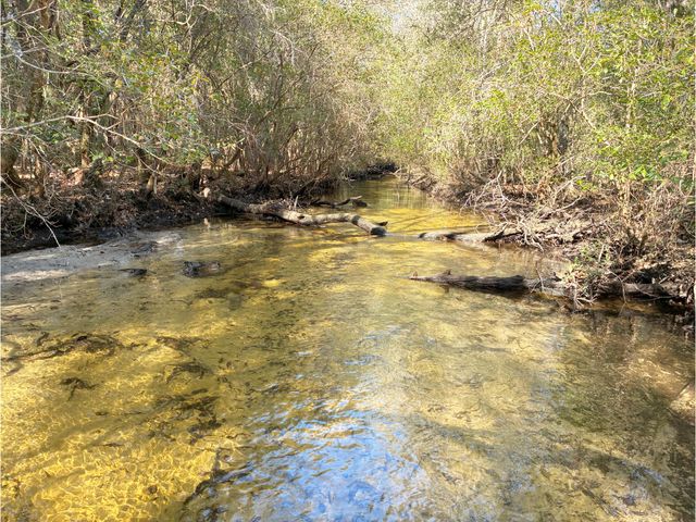 507 Stewart Drive, Defuniak Springs, FL 32433