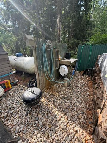 8733 S James Road, Baldwin, MI 49304