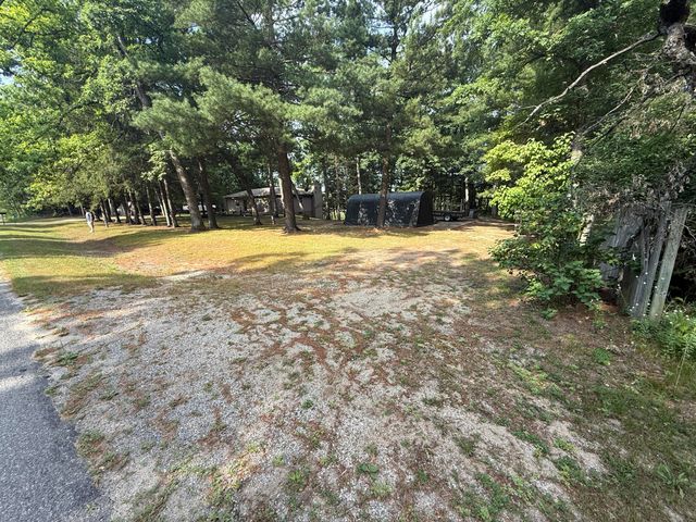 8733 S James Road, Baldwin, MI 49304