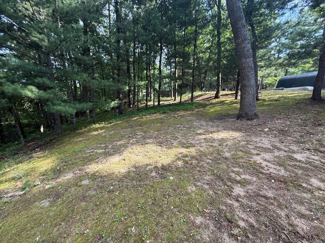 8733 S James Road, Baldwin, MI 49304