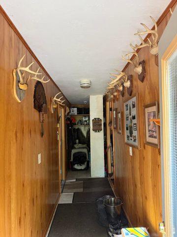 8733 S James Road, Baldwin, MI 49304