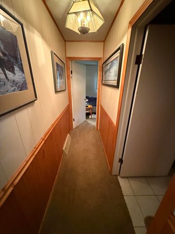 8733 S James Road, Baldwin, MI 49304