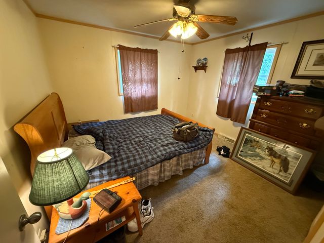 8733 S James Road, Baldwin, MI 49304