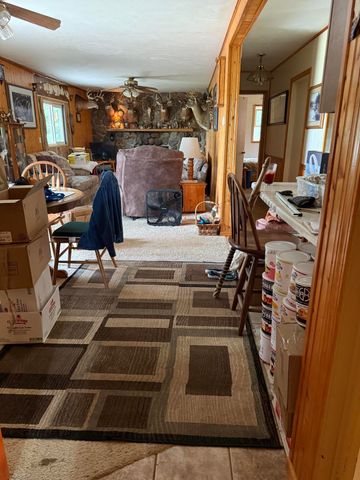 8733 S James Road, Baldwin, MI 49304