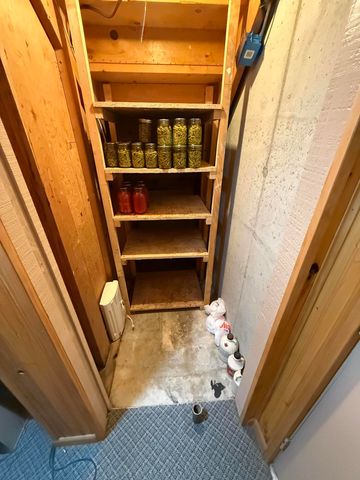 8733 S James Road, Baldwin, MI 49304