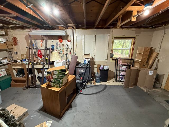 8733 S James Road, Baldwin, MI 49304