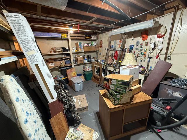 8733 S James Road, Baldwin, MI 49304