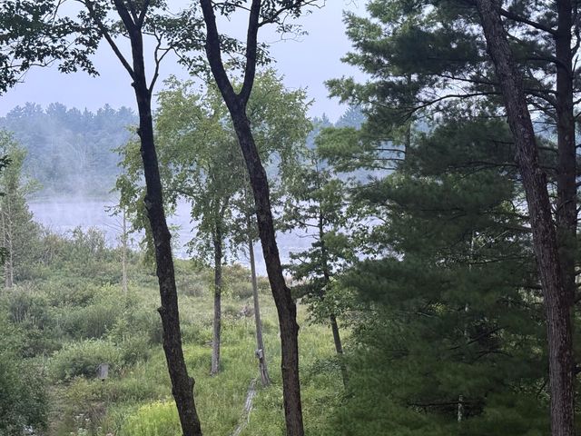 8733 S James Road, Baldwin, MI 49304