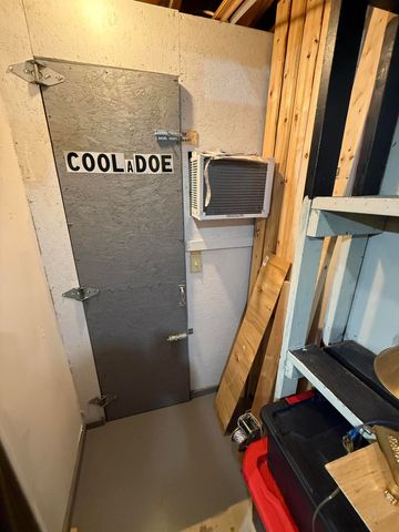 8733 S James Road, Baldwin, MI 49304