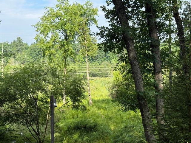 8733 S James Road, Baldwin, MI 49304