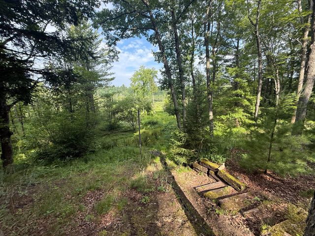 8733 S James Road, Baldwin, MI 49304