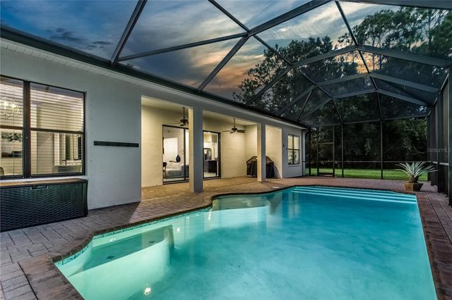13008 EAGLES ENTRY DRIVE, Odessa, FL 33556