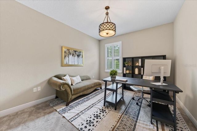 13008 EAGLES ENTRY DRIVE, Odessa, FL 33556