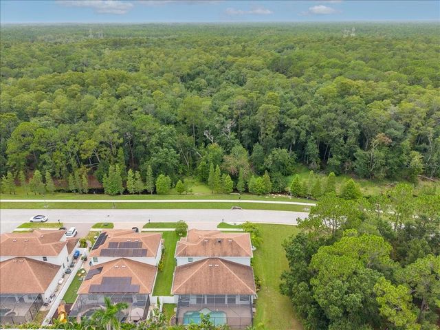 13008 EAGLES ENTRY DRIVE, Odessa, FL 33556